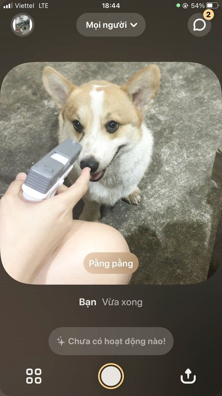 Yêu thương 🎉