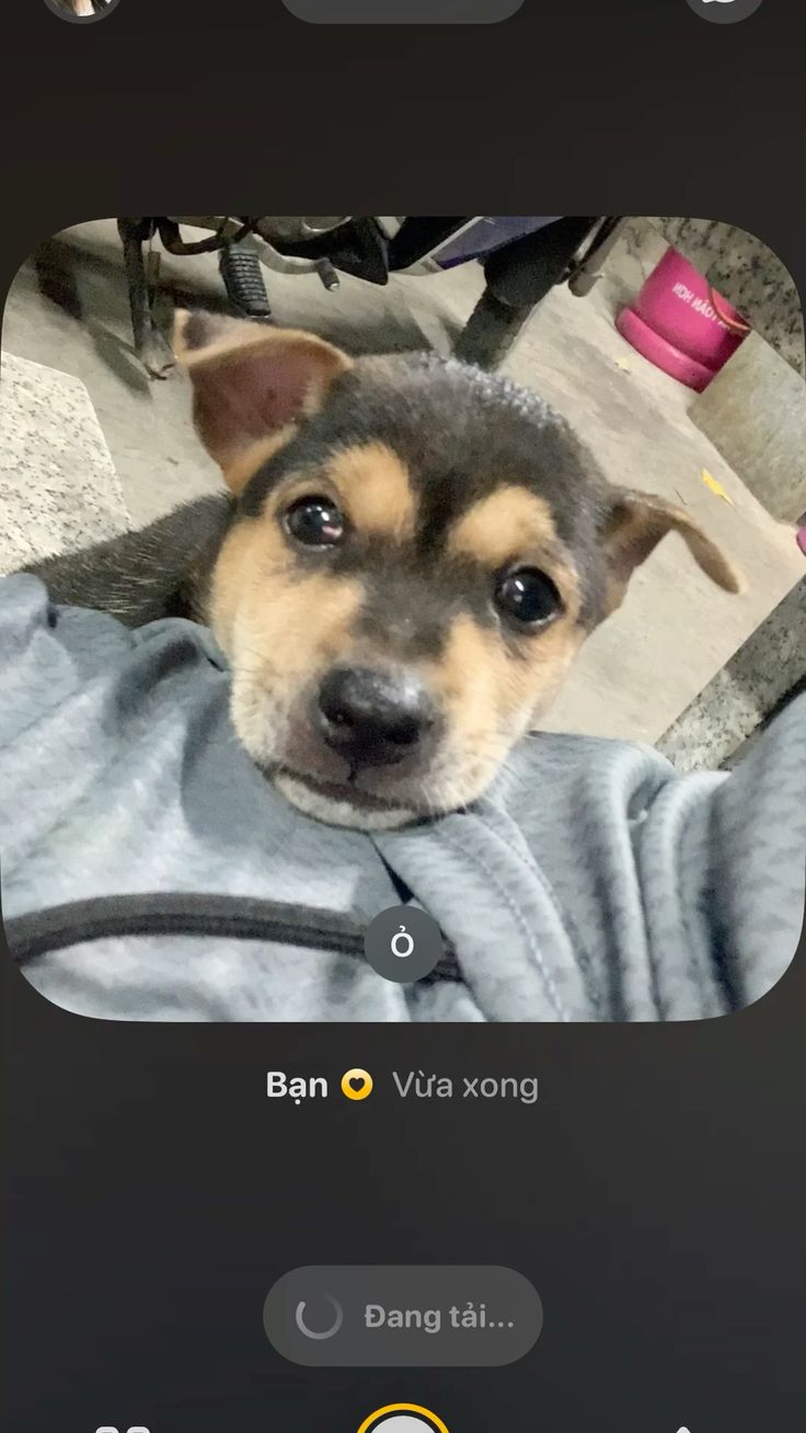 Hạnh phúc 💜